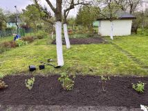 Działka rod Wrocław Ołtaszyn, ul. Orawska. Zdjęcie 1