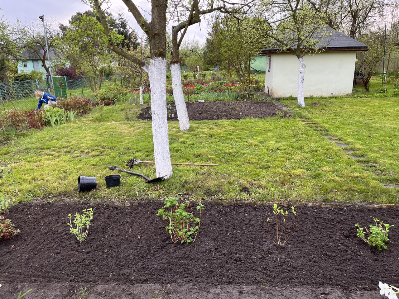 Działka rod Wrocław Ołtaszyn, ul. Orawska. Zdjęcie 2