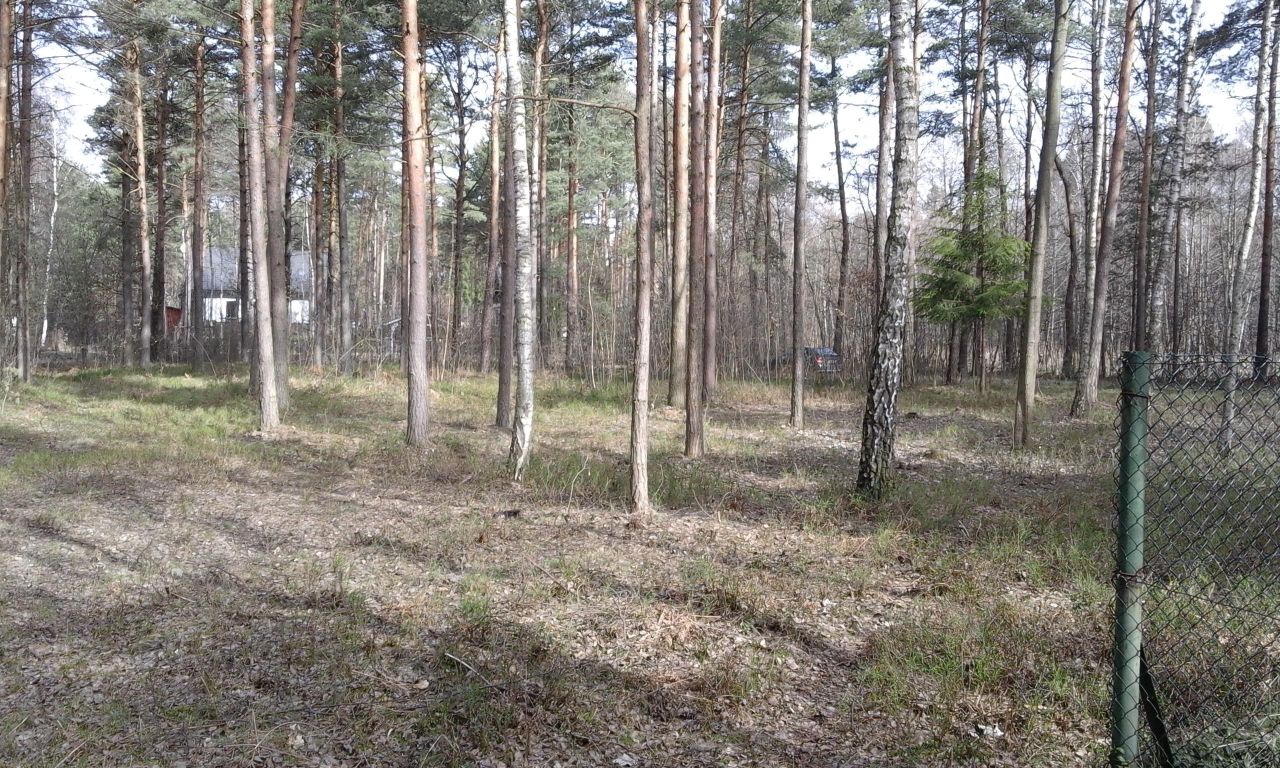 Działka budowlana Żarki-Letnisko, ul. Okrężna. Zdjęcie 10