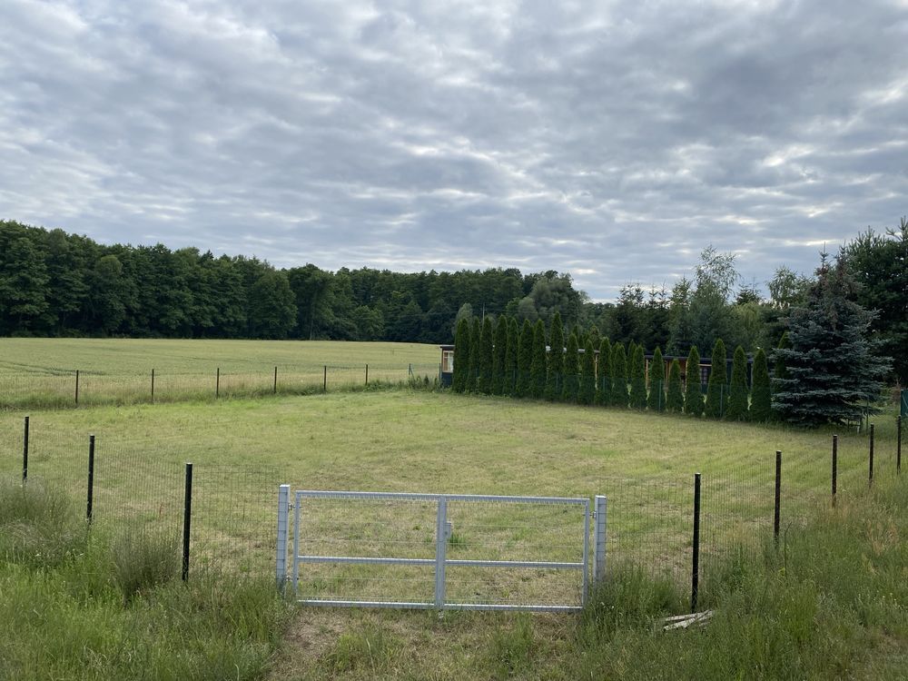 Działka budowlana Tomiszewo. Zdjęcie 5