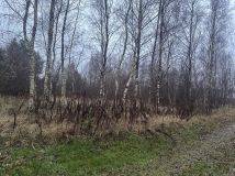 Działka rolno-budowlana Stawno. Zdjęcie 2