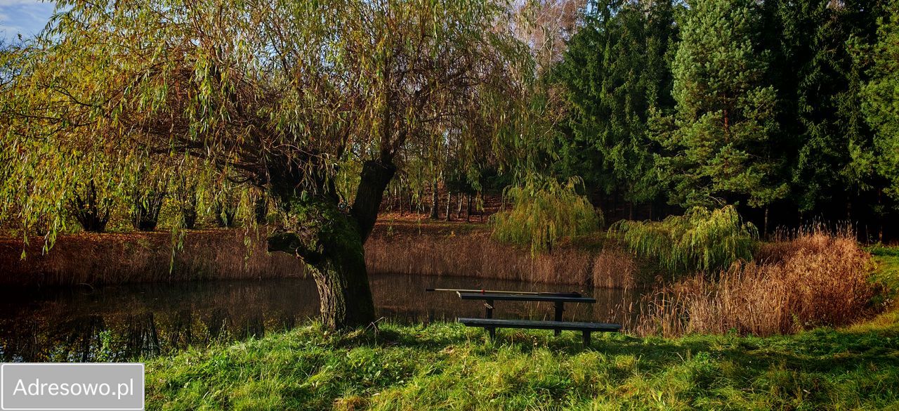dom wolnostojący, 4 pokoje Gajewo. Zdjęcie 3
