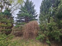 Działka rod Dzierżoniów. Zdjęcie 2