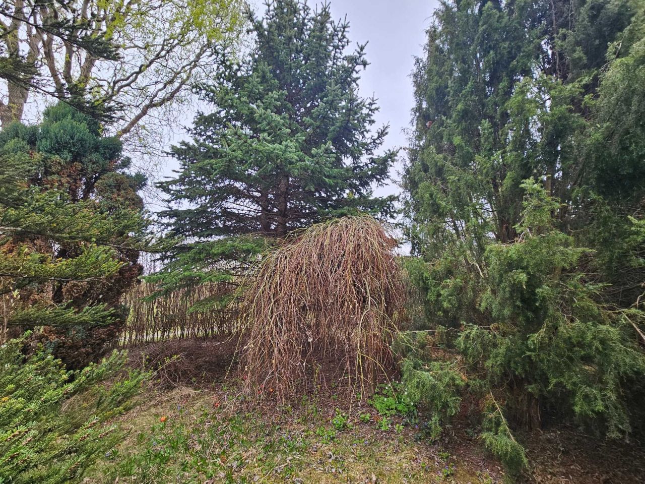 Działka rod Dzierżoniów. Zdjęcie 3