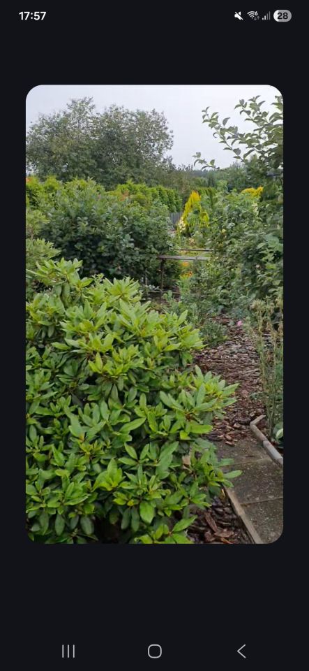 Działka rod Złotów, ul. Jastrowska. Zdjęcie 11