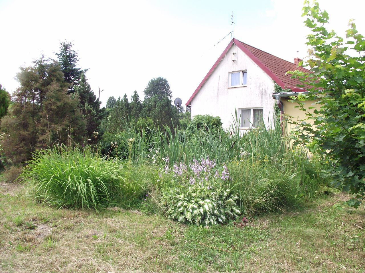 gospodarstwo, 6 pokoi Węgorzewo. Zdjęcie 7