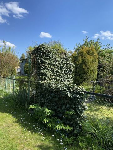 Działka rekreacyjna Poznań Ławica. Zdjęcie 1