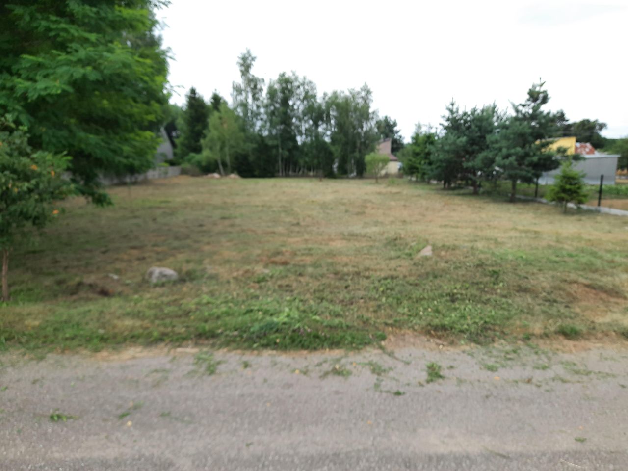 Działka siedliskowa Lewiczyn. Zdjęcie 7