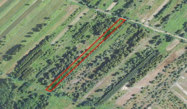 Działka rolna Wola Żarczycka