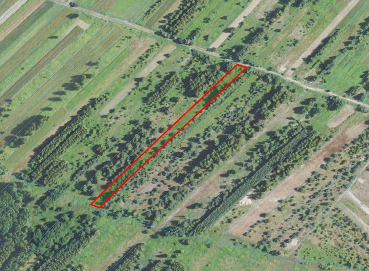 Działka rolna Wola Żarczycka