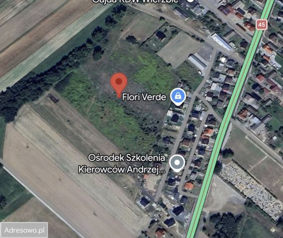 Działka rolno-budowlana Wierzbie. Zdjęcie 1