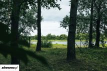 Działka leśna Młynarze. Zdjęcie 1