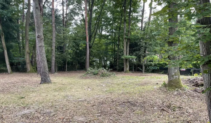 Działka rekreacyjna Popowo-Parcele, ul. Dębowa