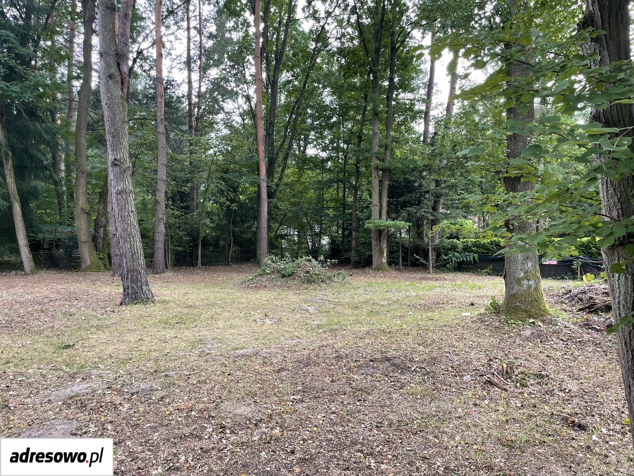 Działka rekreacyjna Popowo-Parcele, ul. Dębowa. Zdjęcie 1