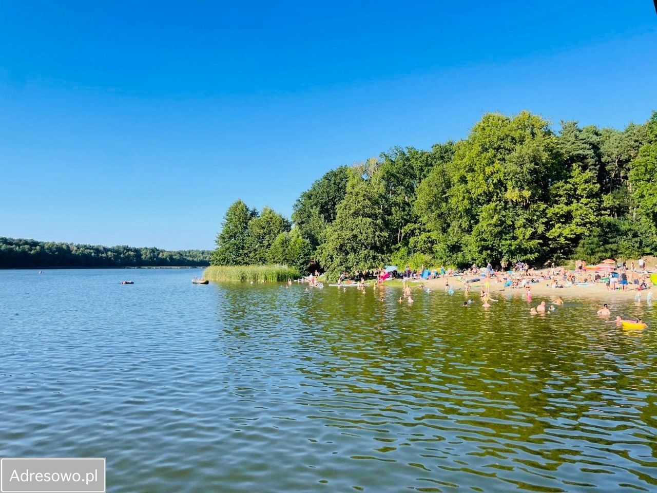 Działka rod Lgiń. Zdjęcie 3