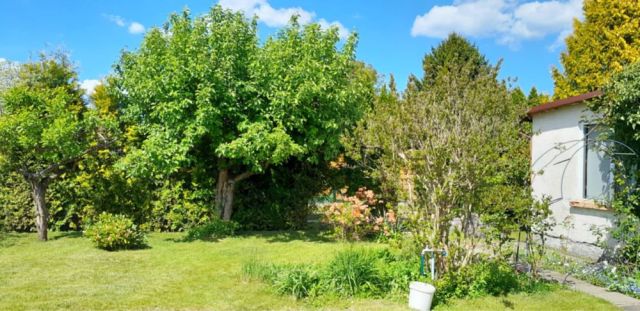 Działka rod Iława. Zdjęcie 1