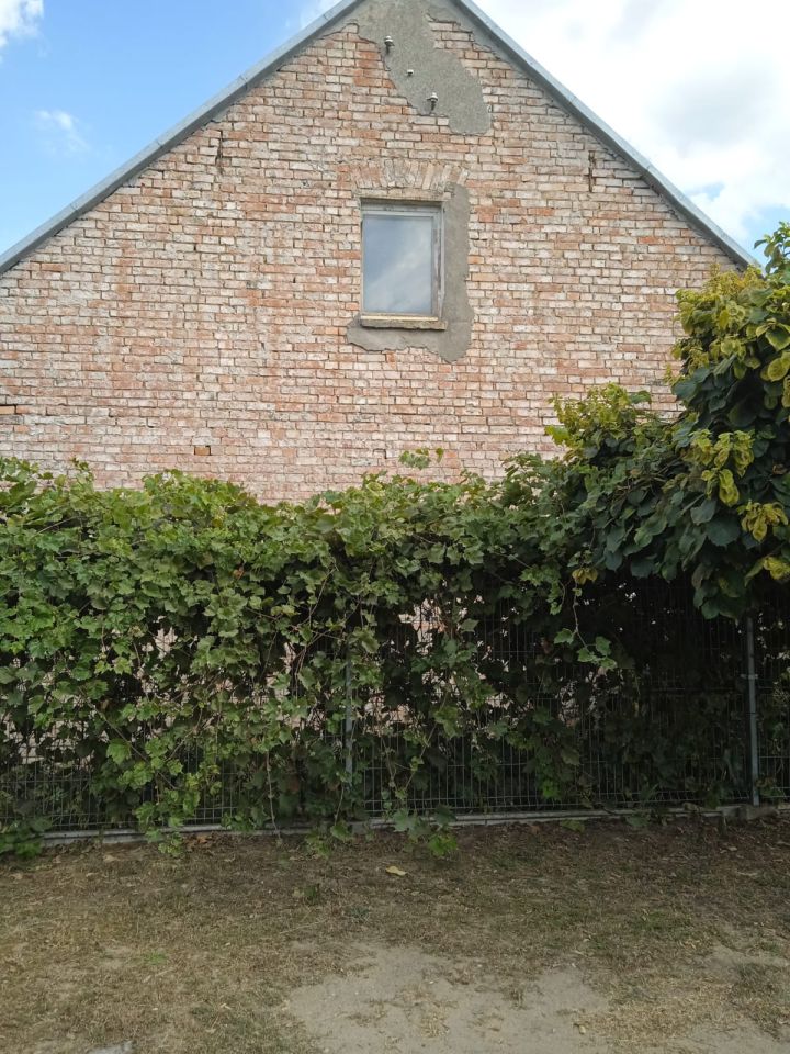 Działka inwestycyjna Osinów Dolny, Osinów Dolny. Zdjęcie 10