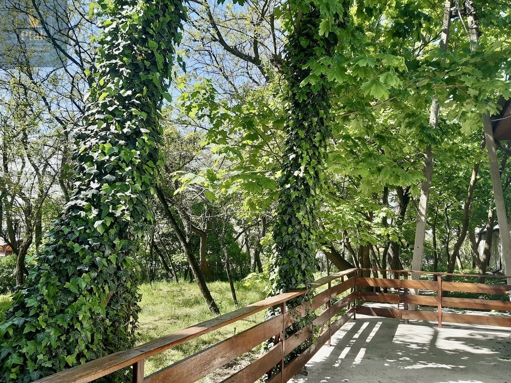 Działka budowlana Luciny. Zdjęcie 10