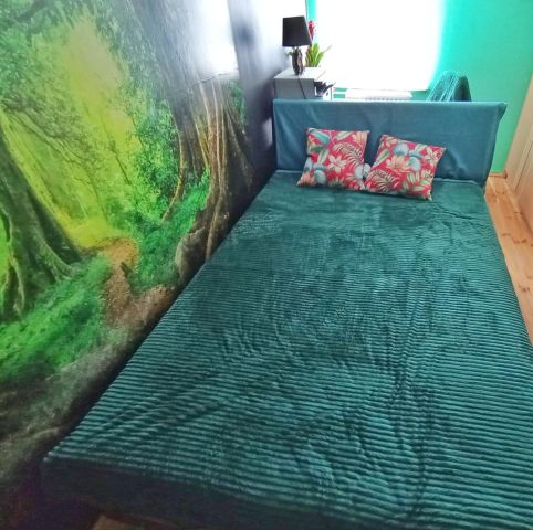 Mieszkanie 3-pokojowe Nowy Ciechocinek. Zdjęcie 8