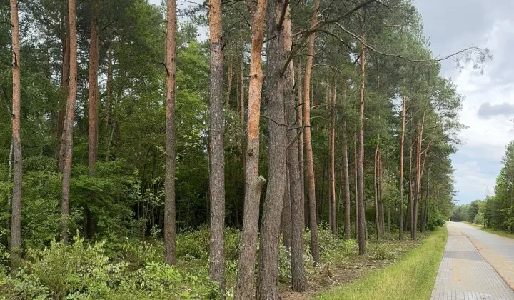 Działka budowlana Ostrów Mazowiecka, ul. Piaskowa