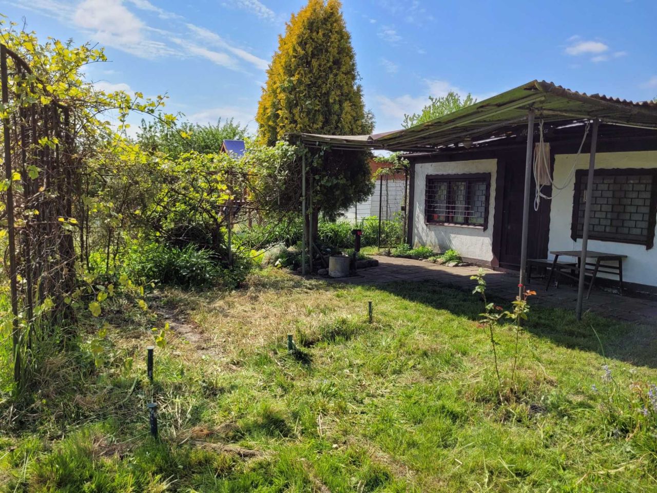 Działka rekreacyjna Szczecin Dąbie