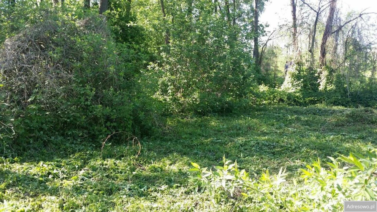 Działka siedliskowa Pieńki Rzewińskie