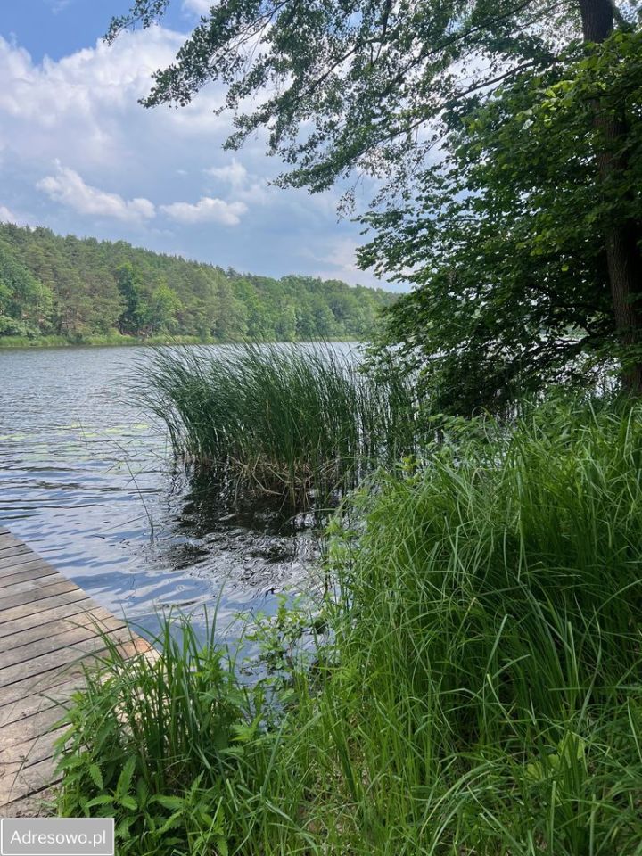 Działka budowlana Kuźnica Głogowska Głuchów. Zdjęcie 9