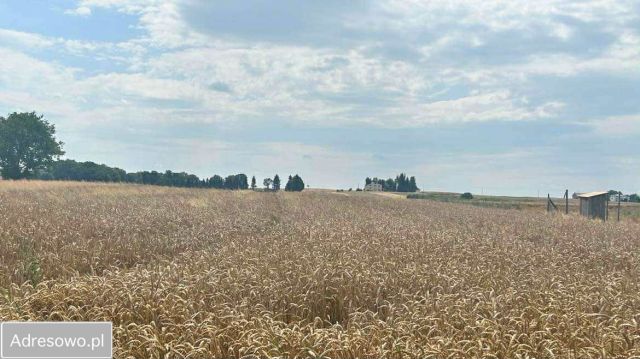 Działka budowlana Moszenki. Zdjęcie 1
