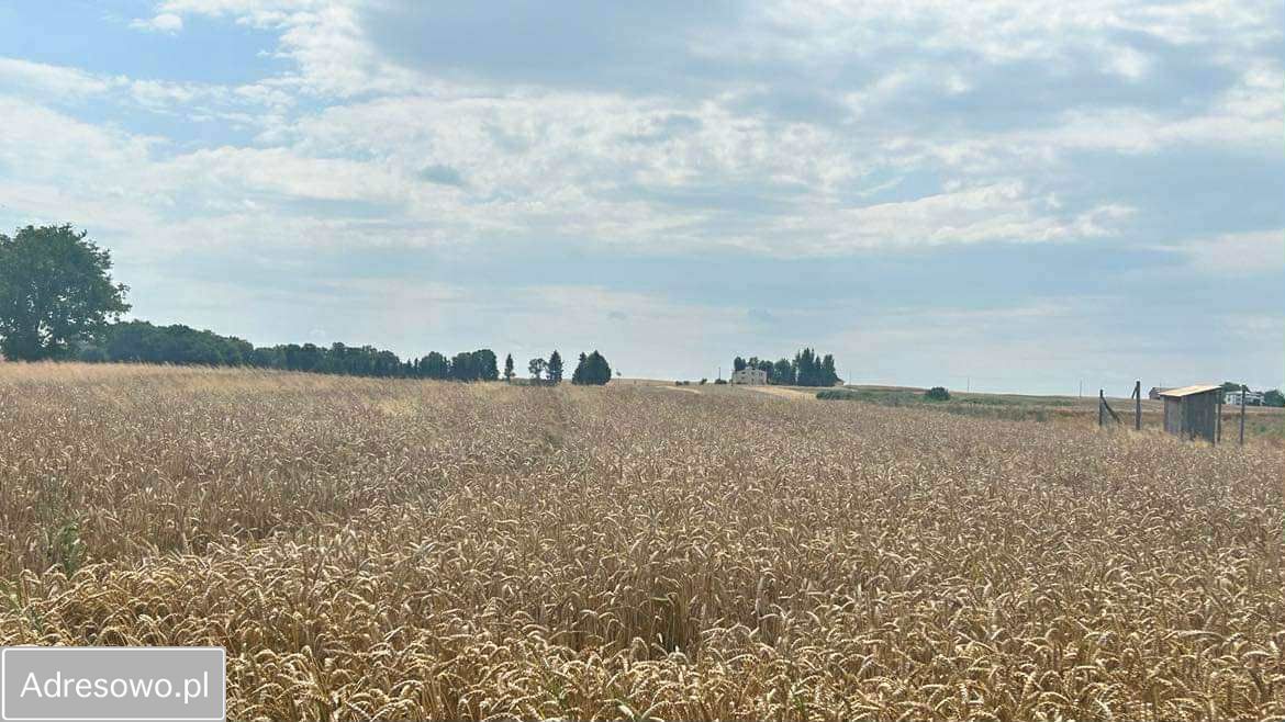 Działka budowlana Moszenki