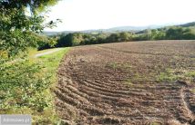 Działka rolno-budowlana Joniny. Zdjęcie 1