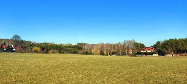 Działka rolna Marcinkowo. Zdjęcie 3