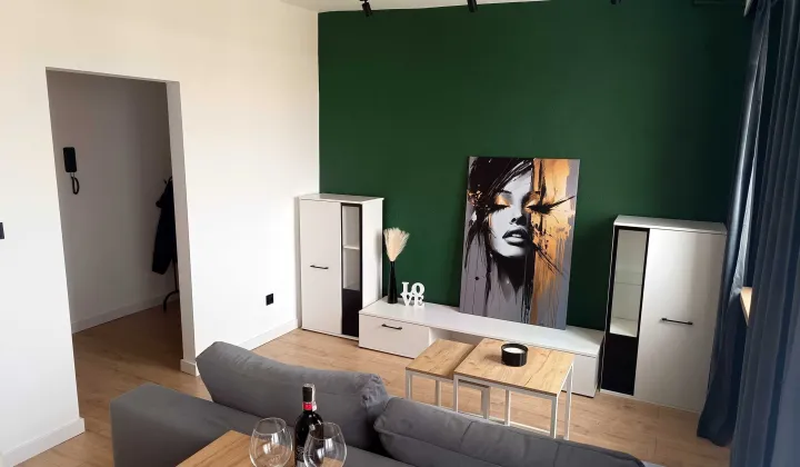 Mieszkanie 1-pokojowe Czarne