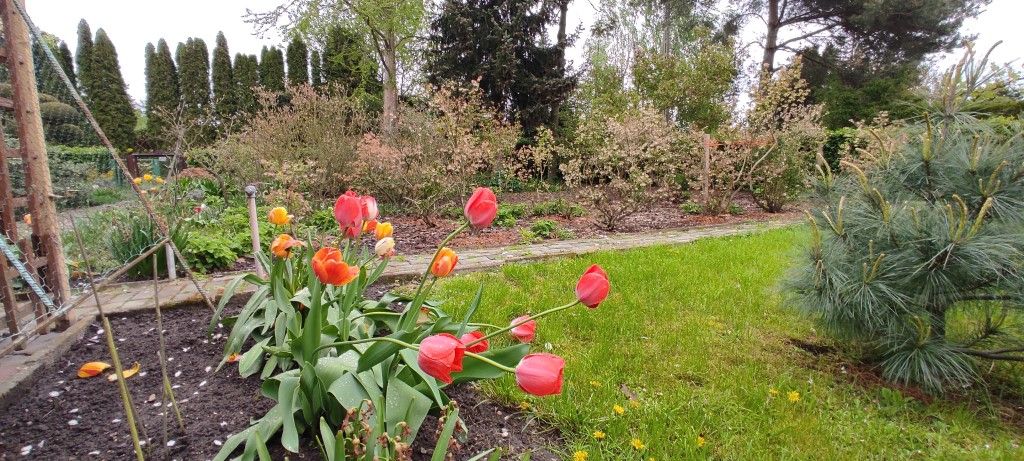 Działka rod Mokra Prawa. Zdjęcie 7