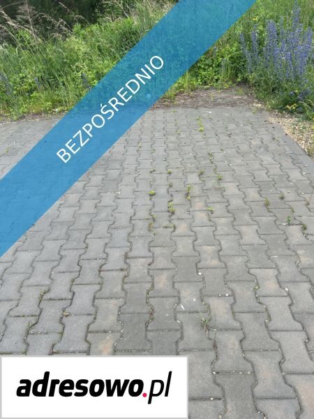 Działka budowlana Zdów. Zdjęcie 3