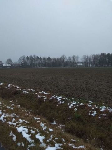 Działka budowlana Baranowice. Zdjęcie 1