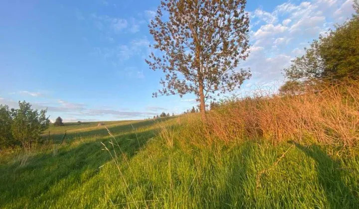 Działka budowlana Zakopane Zoniówka, ul. Zoniówka