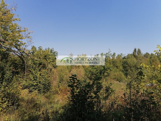 Działka Sulęczyno. Zdjęcie 4