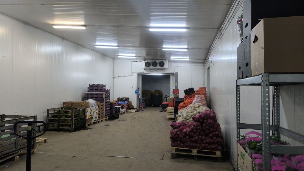 Hala/magazyn Kielce, ul. Zbożowa. Zdjęcie 5