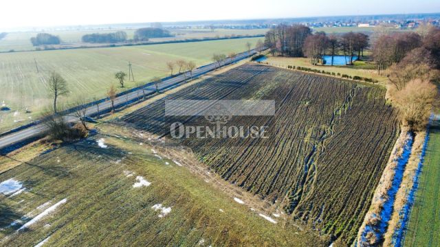 Działka budowlana Dryżyna. Zdjęcie 3