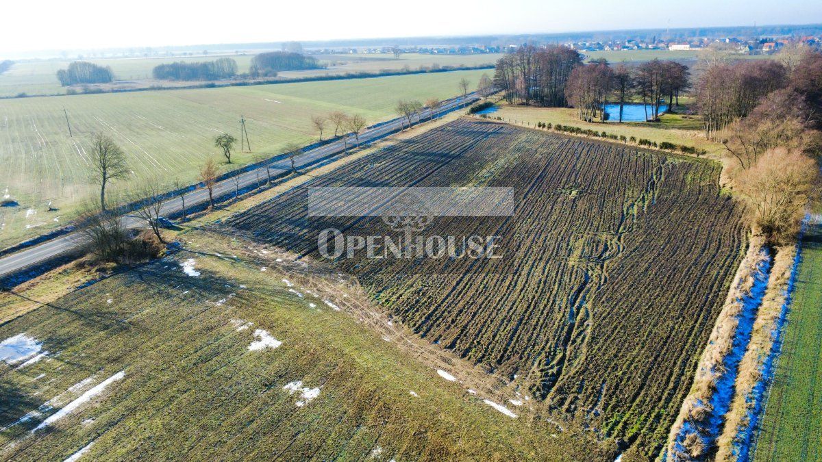 Działka budowlana Dryżyna. Zdjęcie 3