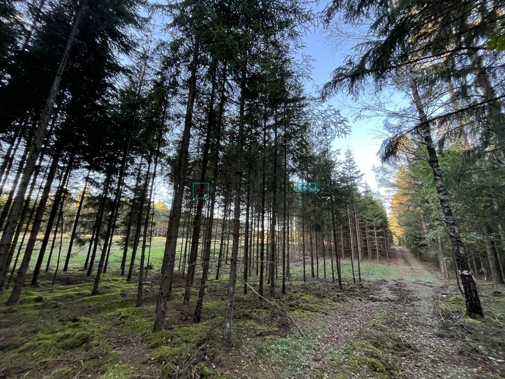 Działka budowlana Szczebra. Zdjęcie 3
