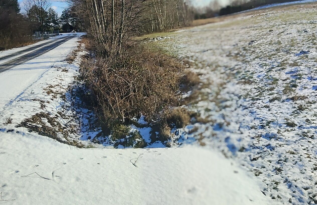Działka budowlana Borów Nowy Borów. Zdjęcie 4