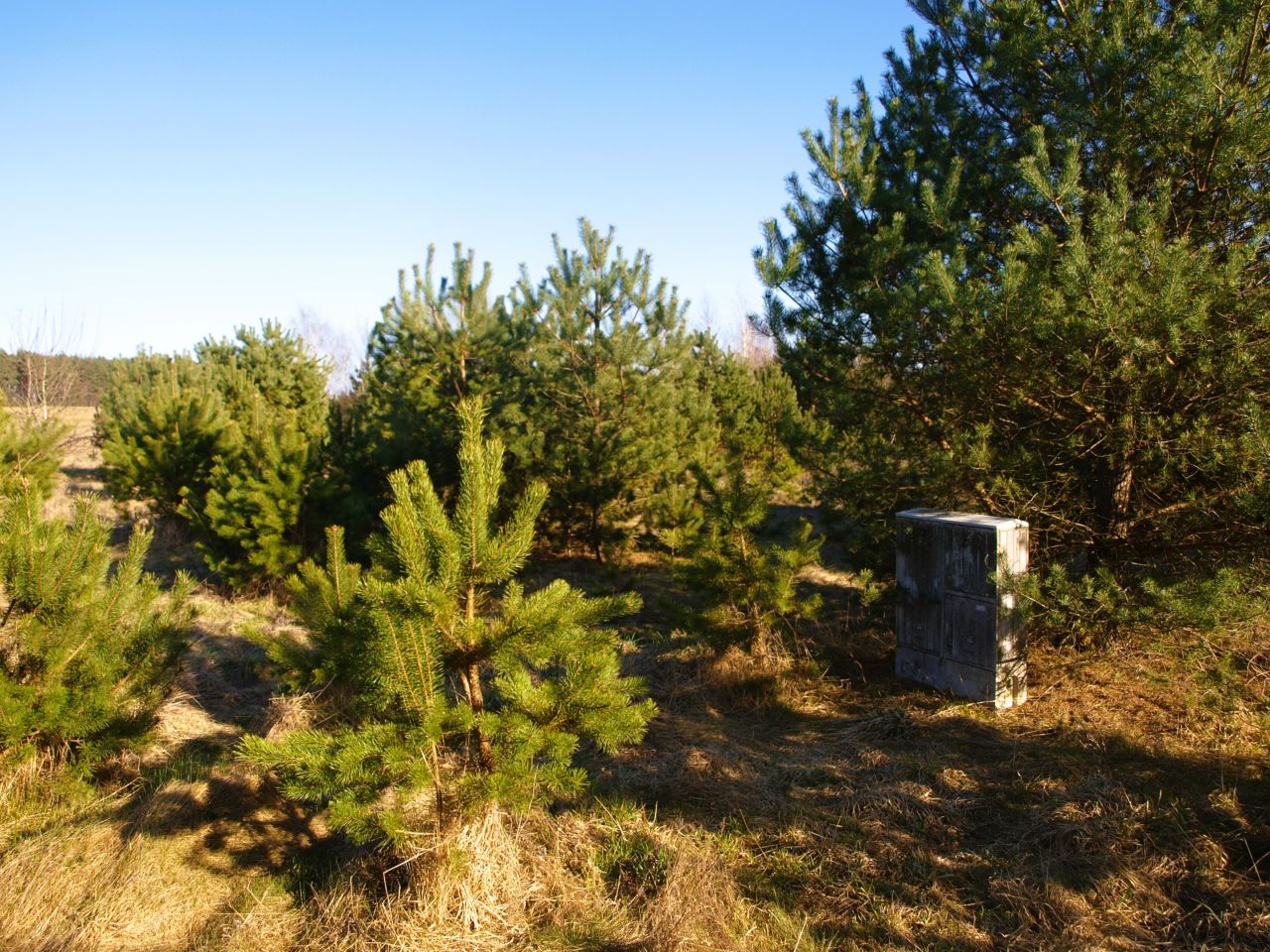 Działka rekreacyjna Lipy. Zdjęcie 7