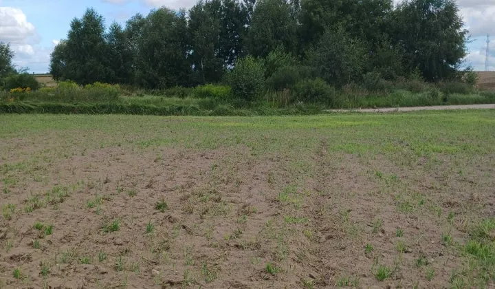 Działka budowlana Kiełpiny