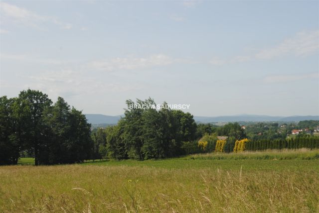 Działka budowlana Gorzków. Zdjęcie 11