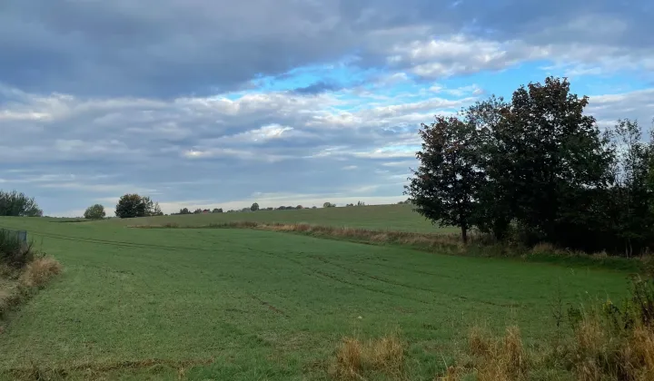 Działka rolno-budowlana Sąborze