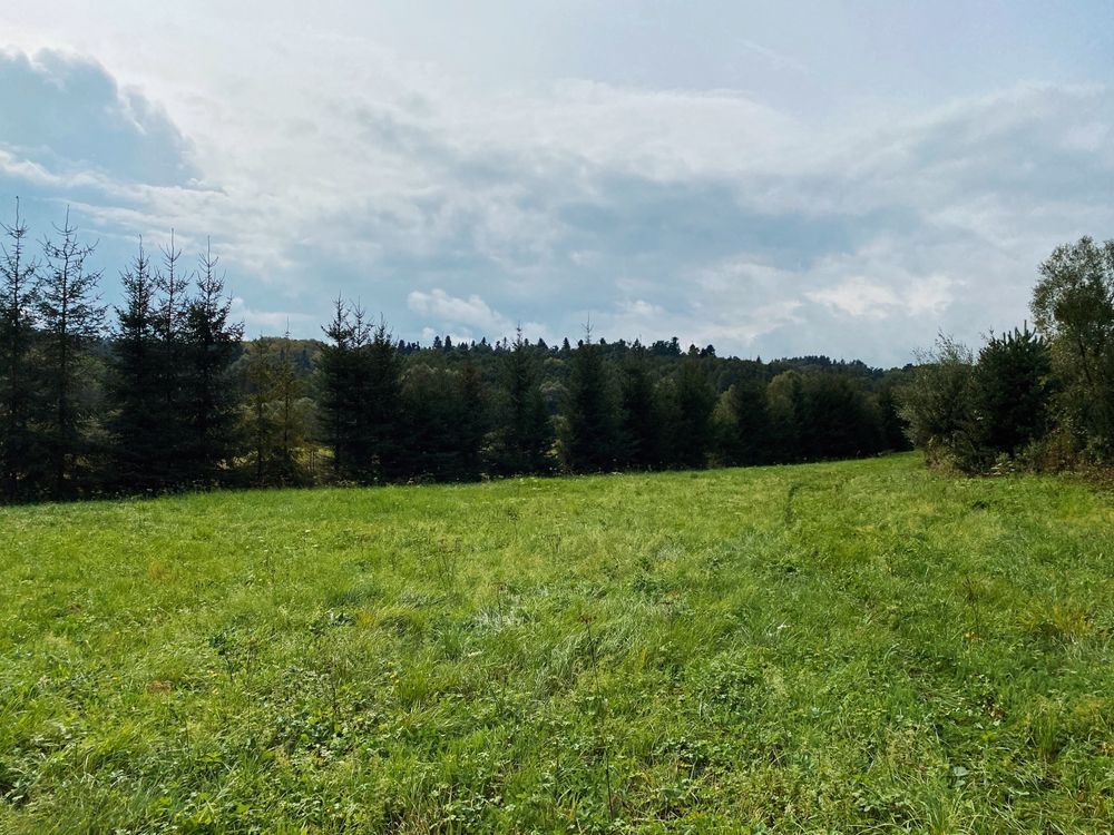 Działka rekreacyjna Mielnów. Zdjęcie 5