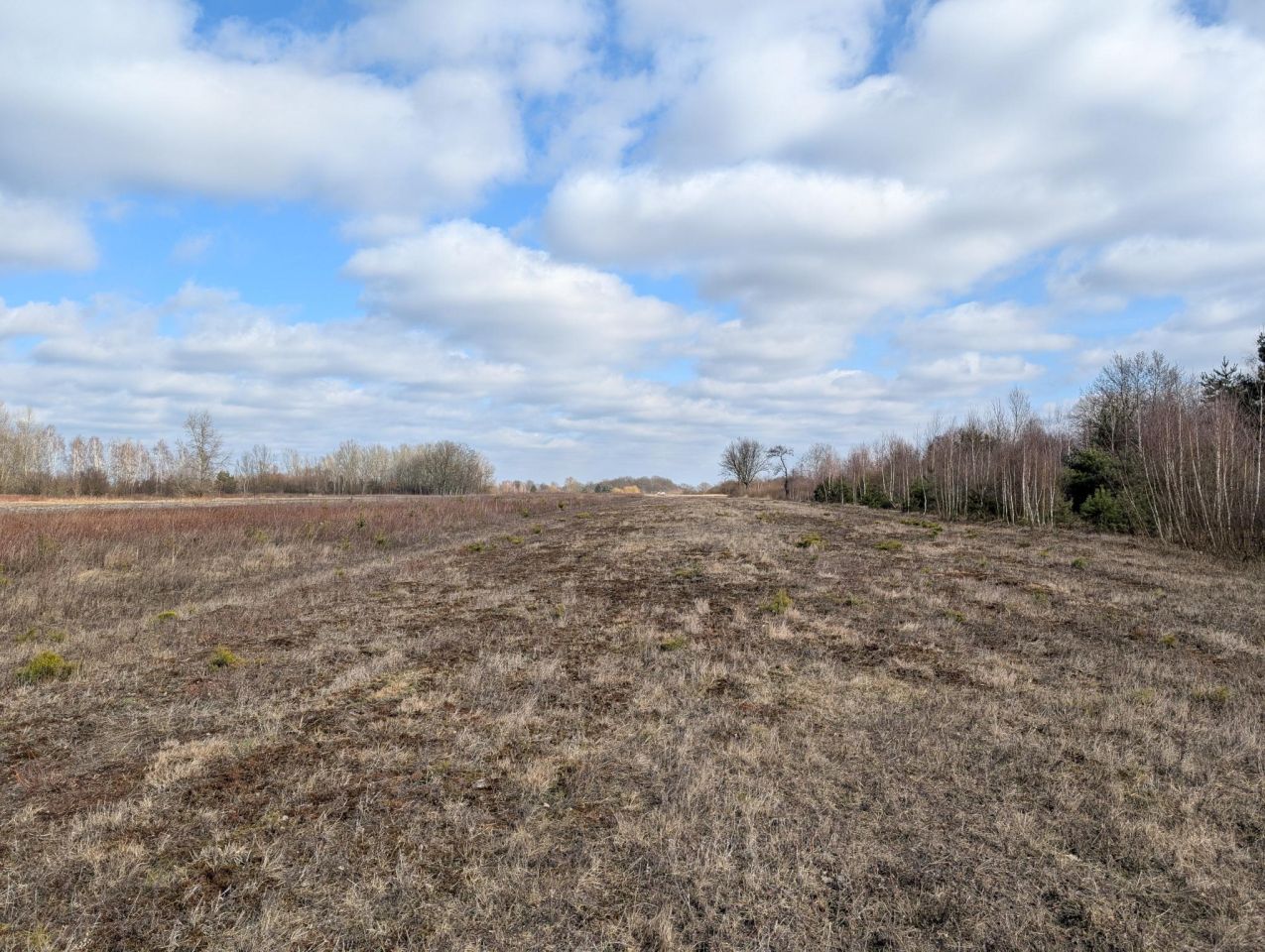 Działka inwestycyjna Turowice. Zdjęcie 2