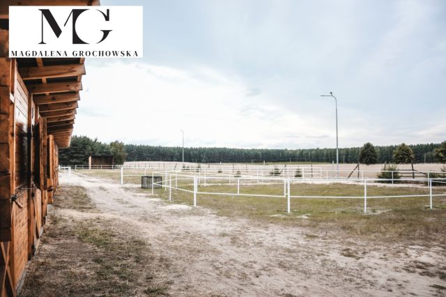 dom wolnostojący, 4 pokoje Zajączkowo. Zdjęcie 5