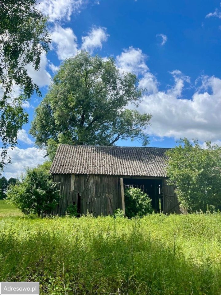 Działka siedliskowa Stegna. Zdjęcie 10